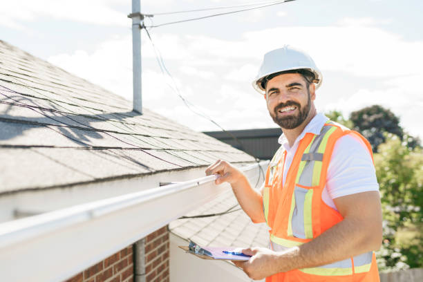 Best Roof Gutter Cleaning  in Windham, OH